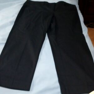 Brand new Ann Taylor pants